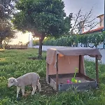 Quinta Da Fe *