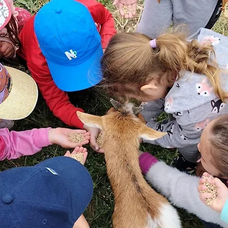 Quinta Da Fe 別荘 Santa Margarida da Coutada