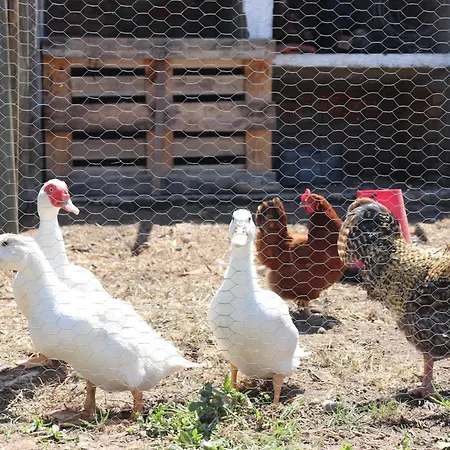 Quinta Da Fe Santa Margarida da Coutada