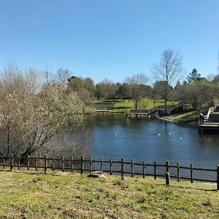 Quinta Da Fé Casa vacanze