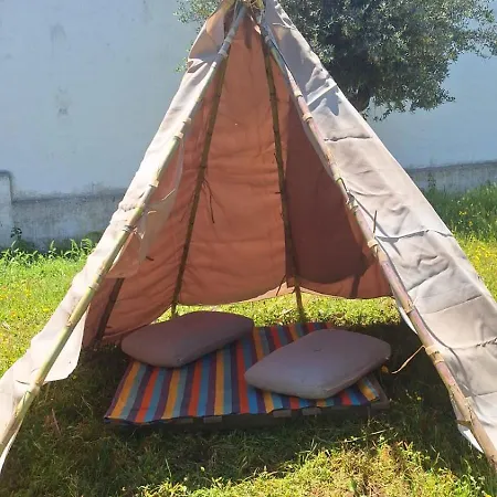 Quinta Da Fé * Santa Margarida da Coutada