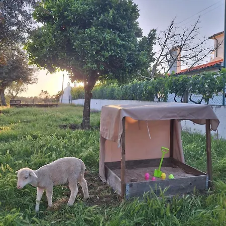 Quinta Da Fe *