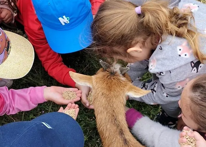 Quinta Da Fe Vakantiehuis Santa Margarida da Coutada