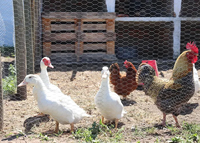 Quinta Da Fe Santa Margarida da Coutada